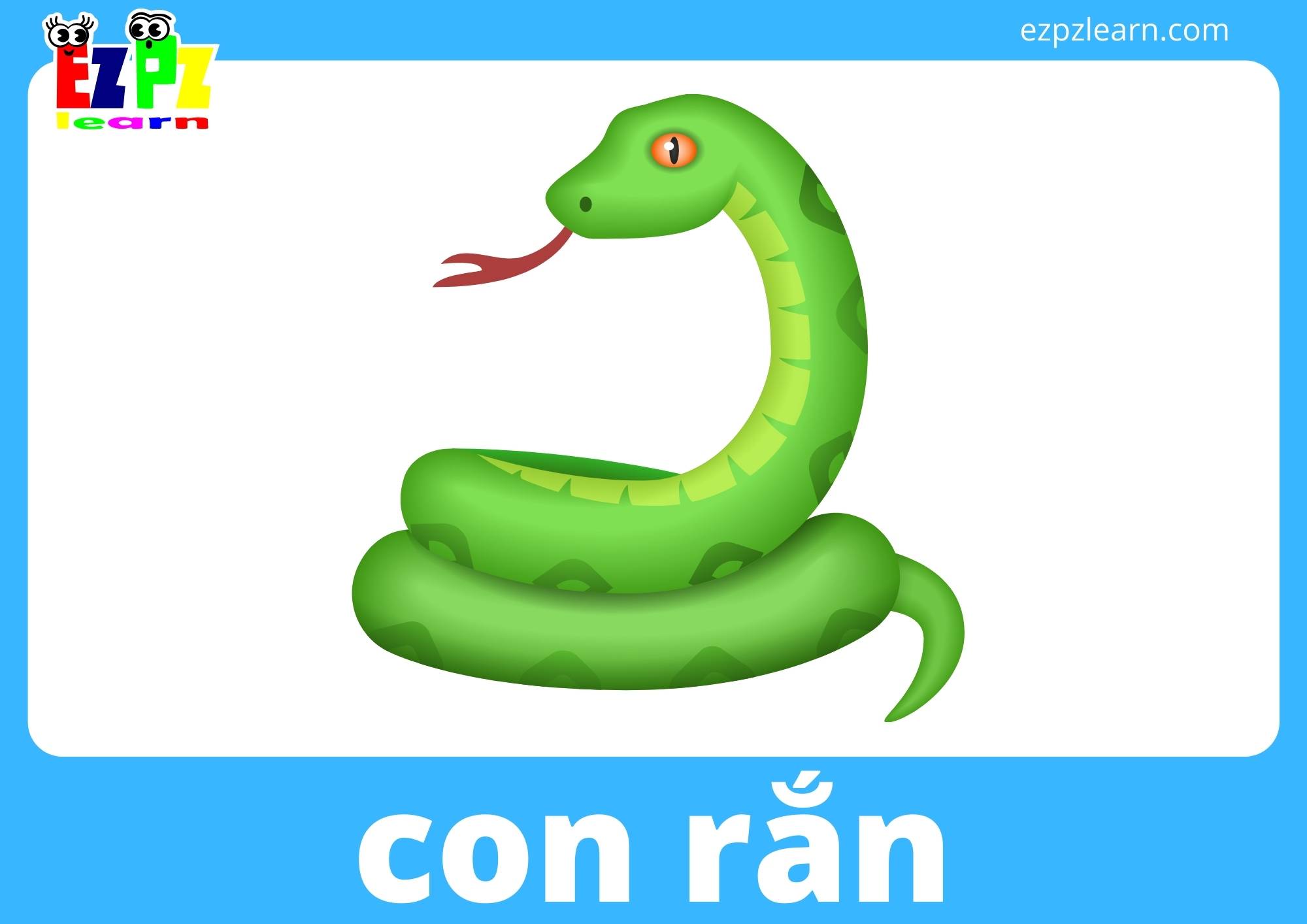 con rắn